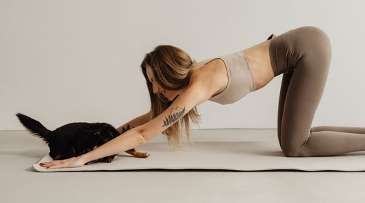 Affordable Squat-Proof Leggings with Free Shipping: Your Ultimate Buying Guide